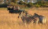african wildlife safari tours