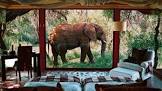 luxury african safari tours