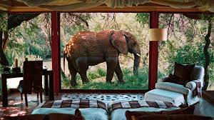 luxury south african safari
