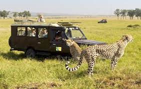 5 star african safari tours