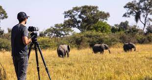 african safari photography tours