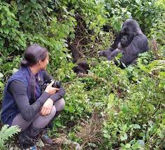 gorilla trekking price