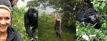 gorilla trekking trips