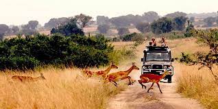 safaris in uganda