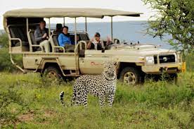 best safari