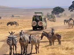 best safari trips in the world