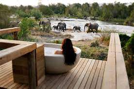 best south african safari honeymoon