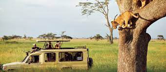 7 day african safari tours
