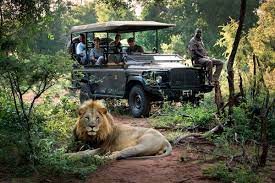 african safari vacation packages