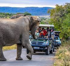 safari all inclusive vacations