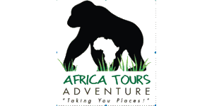 africa tours adventure