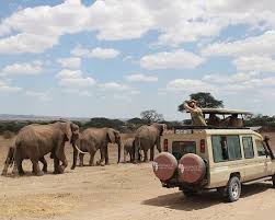 african safari tours tripadvisor