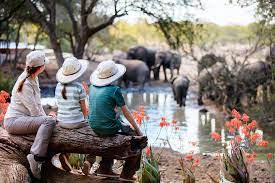 best african safari tours for families