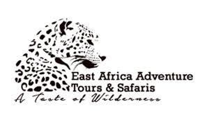 east africa adventure tours and safaris