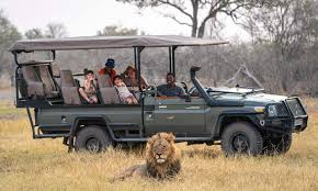 family safari vacations