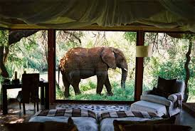 luxury safari holidays