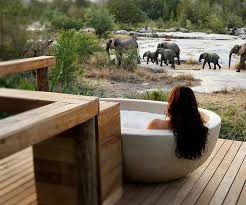 most luxurious safari