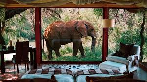 luxury honeymoon safari